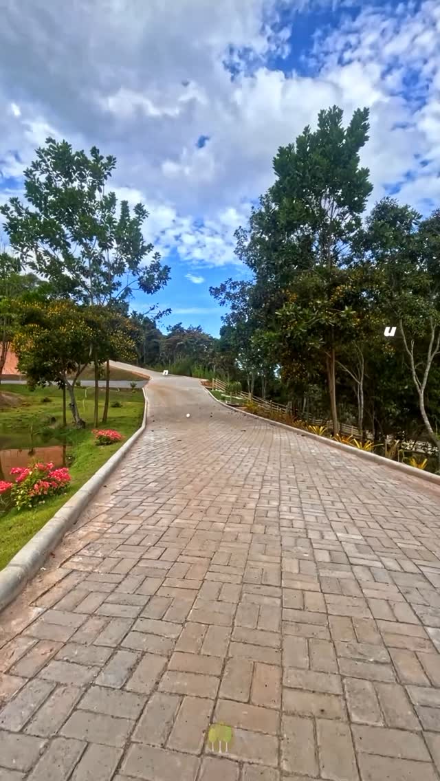 Galeria 12