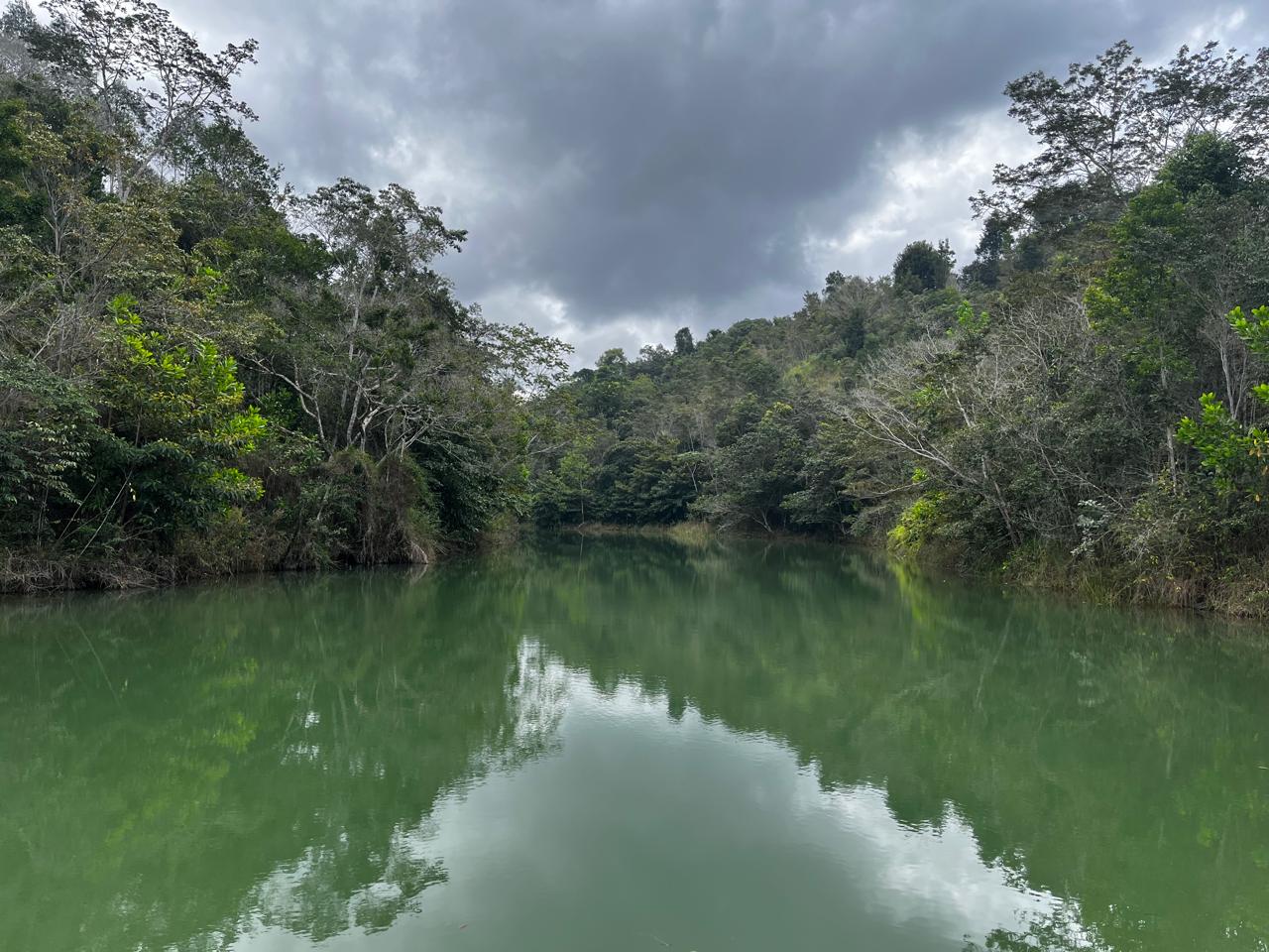 Galeria 6